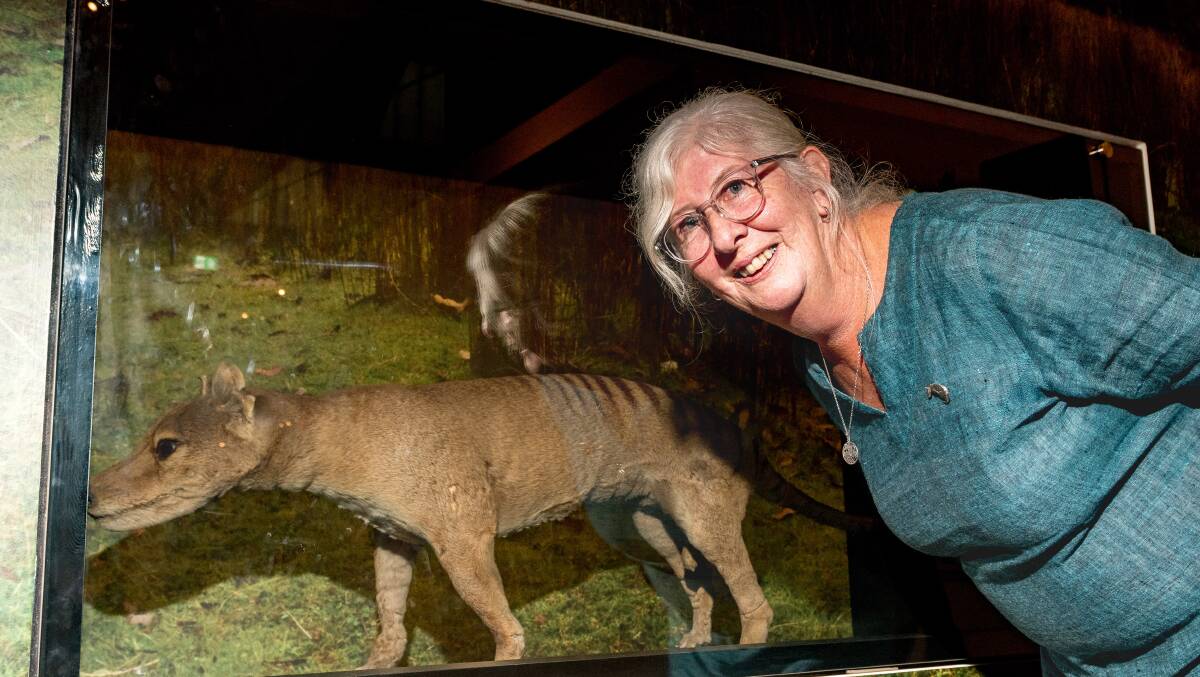 TIGER: Dr Kathryn Medlock discussed the phenonemon of the Tasmanian Tiger specimen. Picture: Phillip Biggs