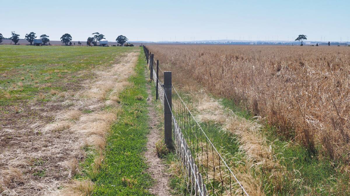 ON THE FENCE: The property includes five paddocks. Picture: CONTRIBUTED