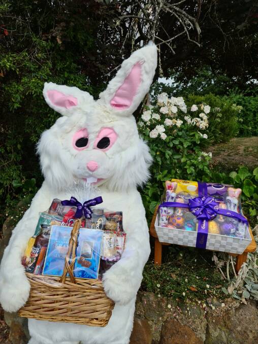 EASTER BUNNY: The Easter Bunny with the hamper people can win by entering the raffle. Picture: CONTRIBUTED