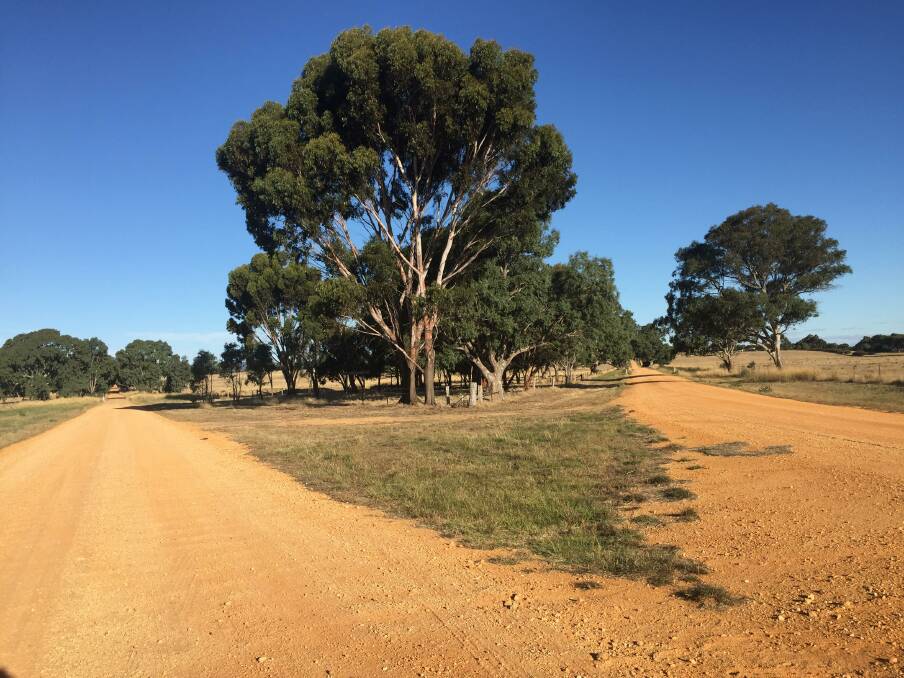 THE ROAD FORWARD: The residential lots will be developed in between Greehill Lake Drive (left) and Dodd Drive (right). Picture: KLAUS NANNESTAD