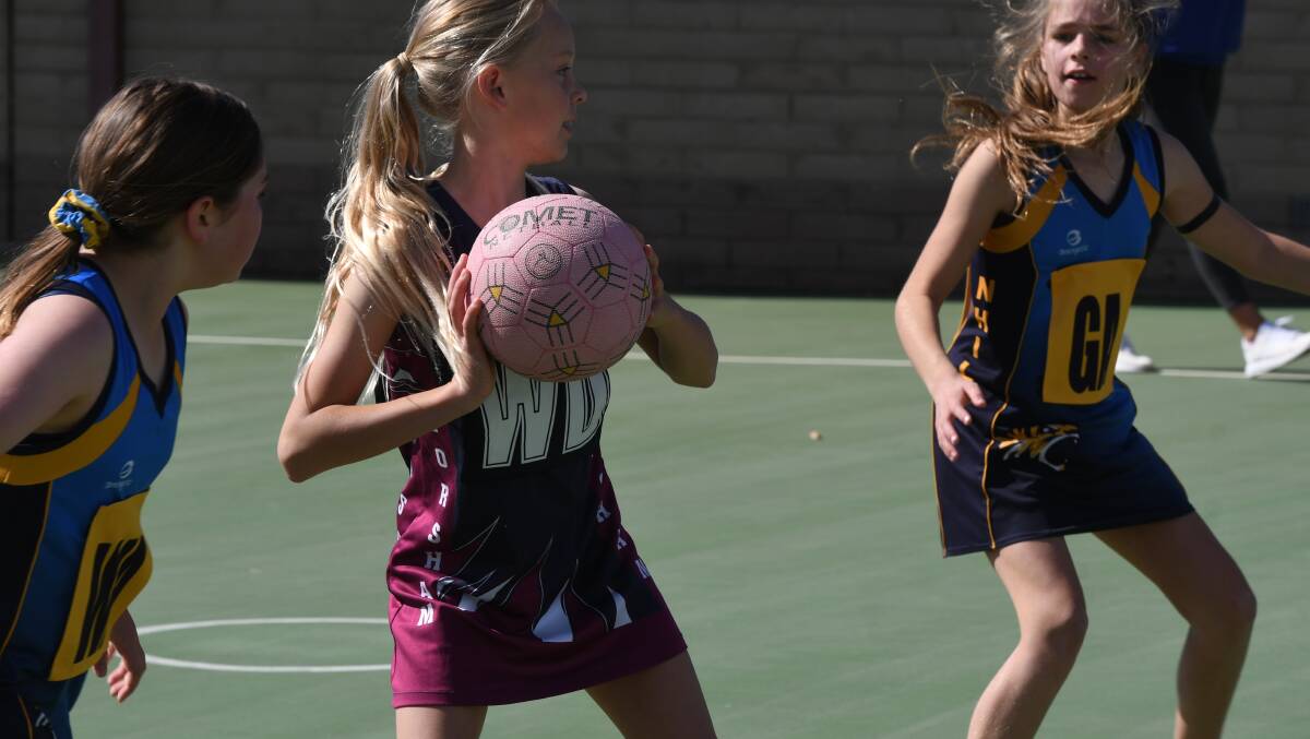 PASSING: It was a big day for the WFNL as netball returned to their courts. Picture: ALEX DALZIEL