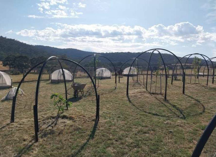 An orchard was planted at the family property, ahead of the delivery of their house through Bond Homes, which went into voluntary administration this week. Picture by Tamara Wardlaw.