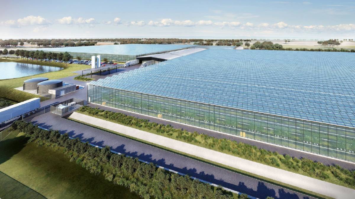 FUTURE GROWTH: An artist's impression of the Nectar Farms hydroponic enterprise when completed. This is just one of a number of projects being finalised in the region.