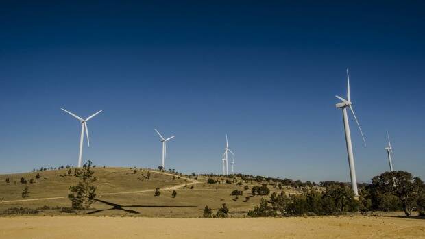 The Capital Wind Farm near Canberra. Photo: Jamila Toderas