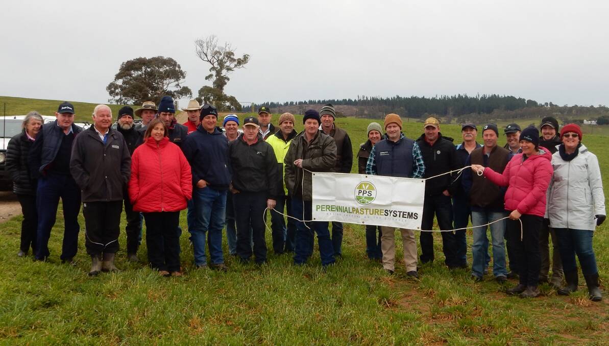 LINED UP: Perennial Pasture Systems saw 20 members join an interstate fact finding tour of NSW farms.