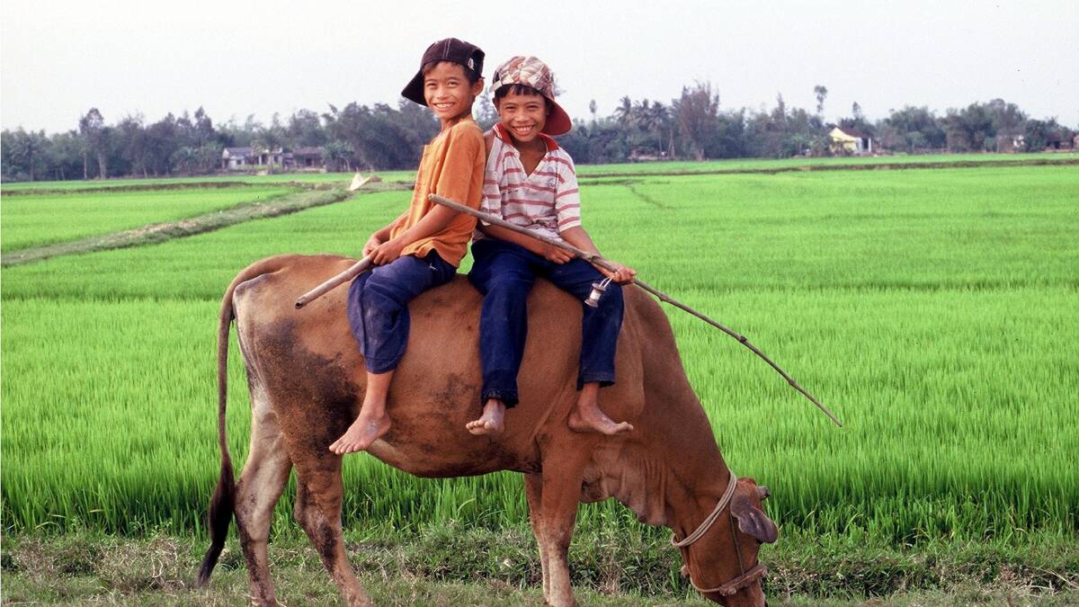  Vietnam … a truly exotic destination. 