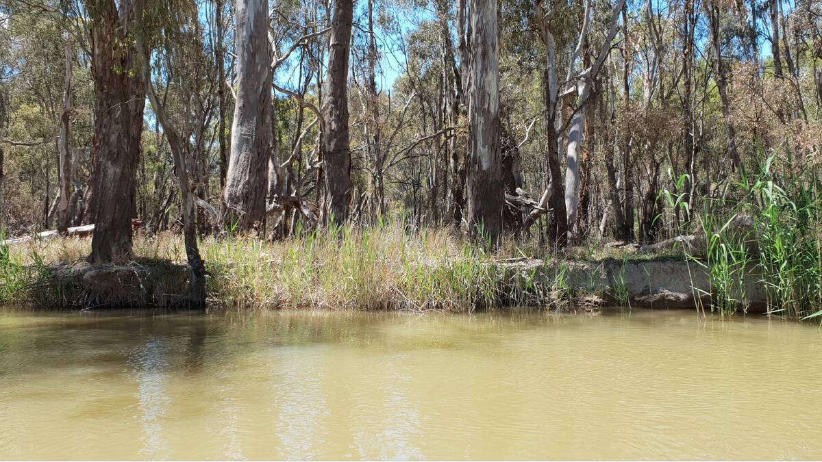 CHOKE STUDY: The Murray-Darling Basin Authority has kicked-off a pre-feasibility study into options to manage water flow through the Barmah Choke.