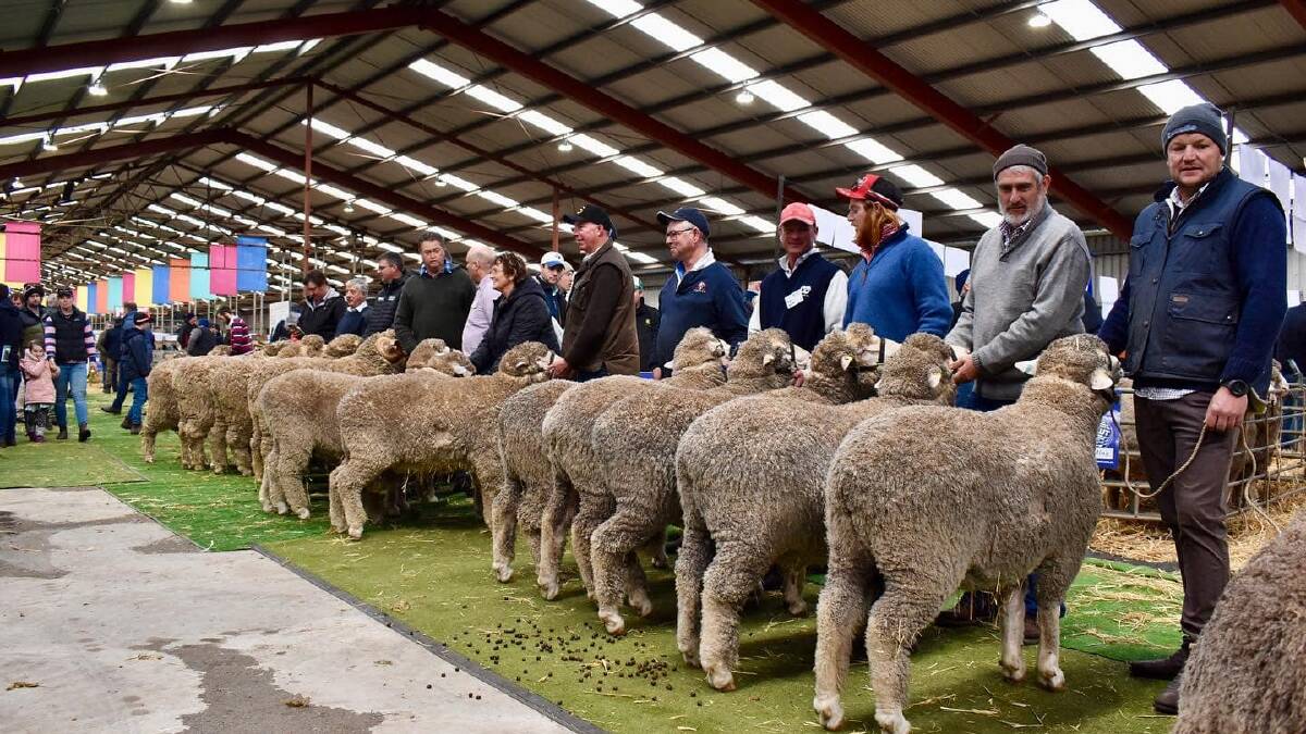 Shaping the future at Sheepvention Rural Expo