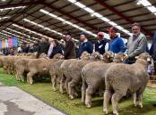Shaping the future at Sheepvention Rural Expo