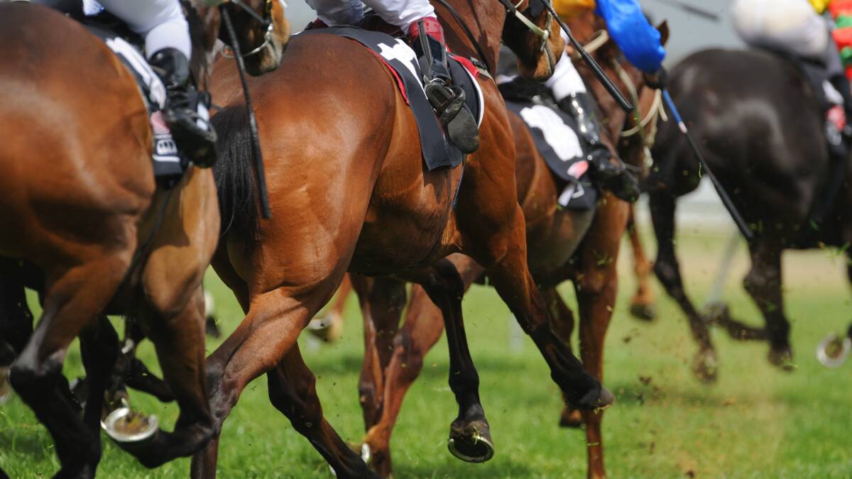 Racing Victoria reduces prizemoney, stands down staff