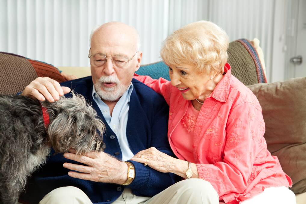 SOCIAL CONTACT: Many nursing homes now have live-in dogs or dogs who visit as part of a pet therapy program.