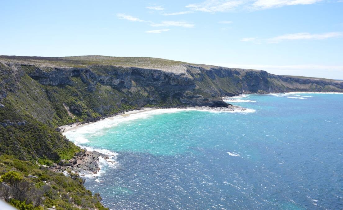Kangaroo Island's Flinders Chase National Park was wiped out by bushfire at the start of 2020 but reopened in July to a steady stream of visitors.