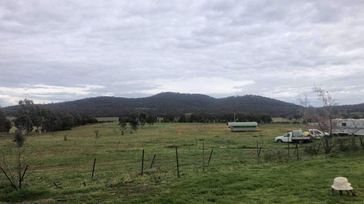 This is the view at Majura Valley Free Range Eggs. It's in Canberra. Photo: Tom Melville
