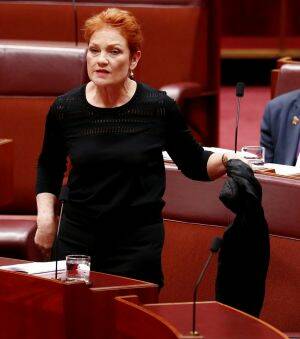 Senator Pauline Hanson pulls off the burqa. Photo: Alex Ellinghausen