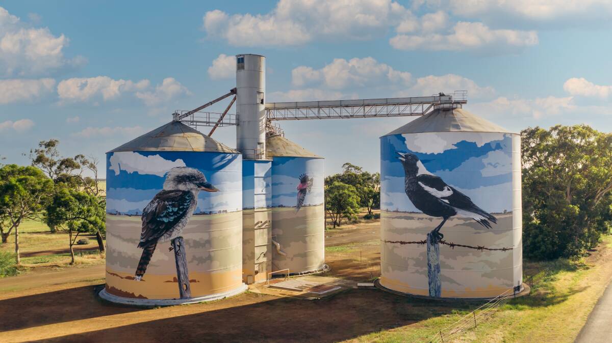 Theres no doubt the appeal of our Australian wheat silos decorated with stunning artworks are a strong drawcard for our local communities, many of them in tiny rural towns who really appreciate your support. Here are just two of the many silo art stops to call into see. There are many more
Goroke Silo Art
Artist Geoffrey Carran was heavily inspired by the birdlife in West Wimmera Shire when creating the Goroke silo art. The word Goroke is the local Aboriginal word for magpie, so the native bird was a great fit for the design. Geoffrey then expanded the ides to include other native birds, including a kookaburra and galah. His love of birds has meant they are a regular subject of his artwork.
The silo art was completed in 2020 and the design is a tribute to the vibrant birdlife in the area. The three birds are depicted in front of the rural landscape, typical of the West Wimmera region. The artwork took about seven weeks to complete and both the kookaburra and the magpie are more than 10 metres high. Kaniva Silo Art
The artwork pays tribute to the nearby Little Desert and its diverse flora and fauna. The Little Desert National Park is one of Victorias truly special places. It is home to more than 600 species of native plants, 220 species of birds and 60 native mammals and reptiles.
The design features the Australian Hobby bird; it is relatively slender and long-winged. To the left of the bird is the plains sun orchid (Thelymitre megacalyptra) with the salmon/pink sun orchid (Thelymitra rubra) on the right. Flowering occurs between September and November and they generally only open on warm, humid days.

