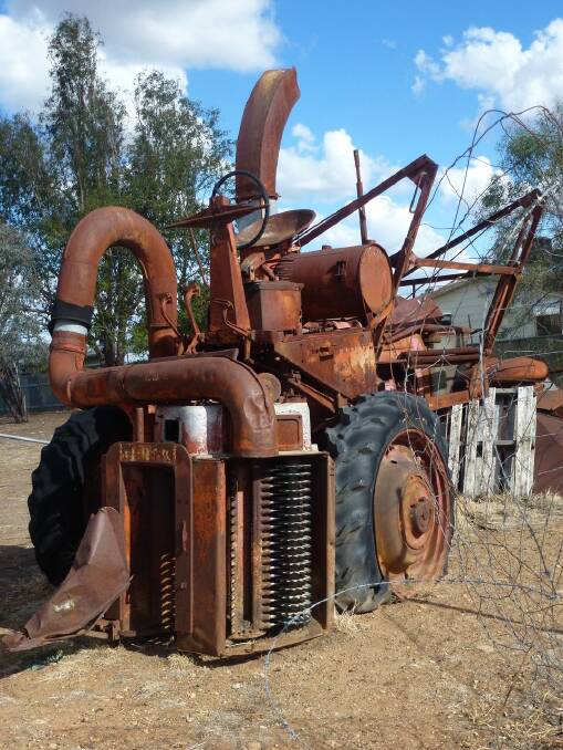 THE BEFORE PICTURE: One of two IH M-12-H model cotton pickers rescued from being bulldozed into a hole and buried. 