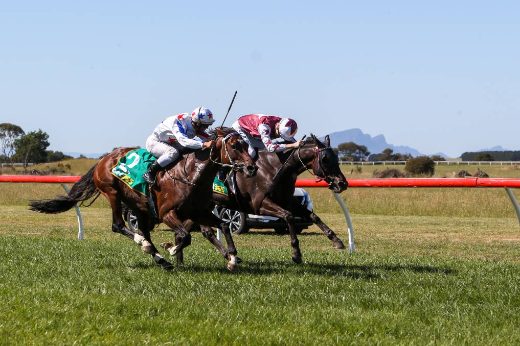 Tight Finish: Finn McCool, ridden by Trent Germaine, runs home to win the Penshurst Cup in a photo finish from Instrumentalist, ridden by Aaron Mitchell. Picture: Rob Gunstone