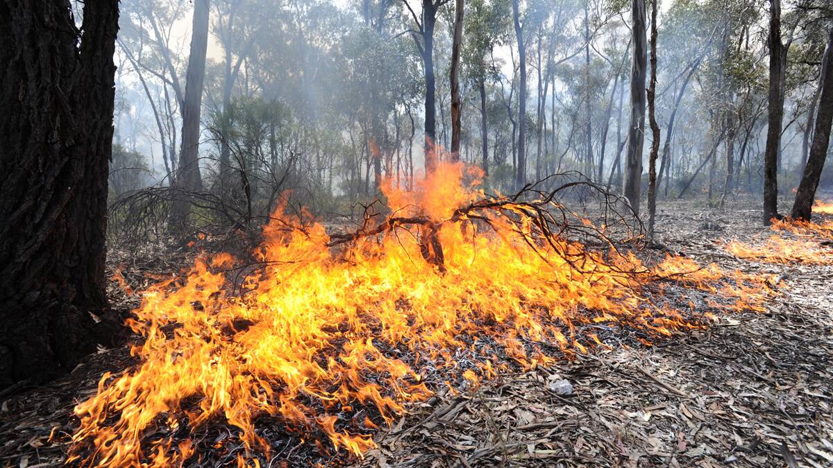 FUEL REDUCTION: Forest Fire Management will start a planned burn on Thursday, April 9 near Halls Gap. 