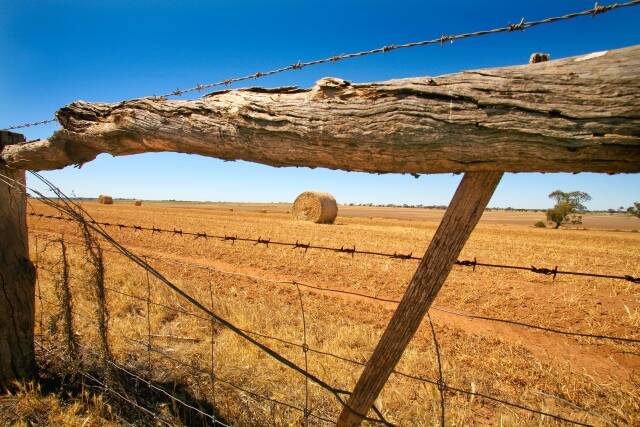 Wimmera grain producers ‘on a knife edge’