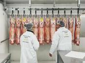 Researchers at the University of New England with goat carcases as part of taste test research. 