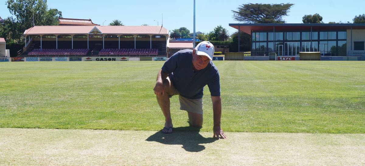 VETERAN: Phil Rodger shows off the pitch he prepared for Saturday's A Grade game. He has been preparing turf wickets for the Aradale Cricket Club for 25 years. Picture: Adam Hill
