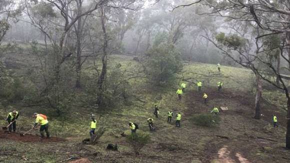 ABOVE: Parks Victoria staff working to close down the illegal mountain bike trail. Picture: CONTRIBUTED