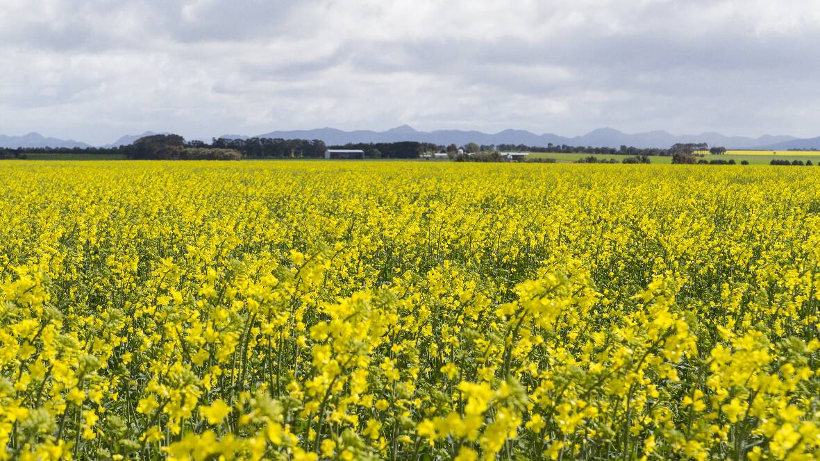 LAND VALUE: Despite Ararat farmland values showing a decrease in the last few years, farmland across Australian has shown a long term value increase. 