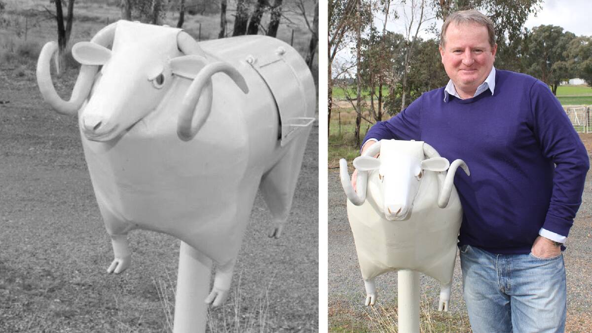 Paul Cocking with his Merino mailbox. Picture: Nikki Reynolds 