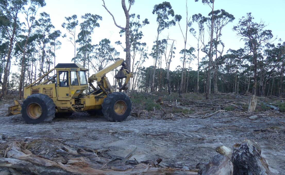 CLEAR-FELL: A barren sight as logging around Mt Cole endangers bushwalking, camping and picnic spots for future generations of residents and travellers. PICTURES SUPPLIED.