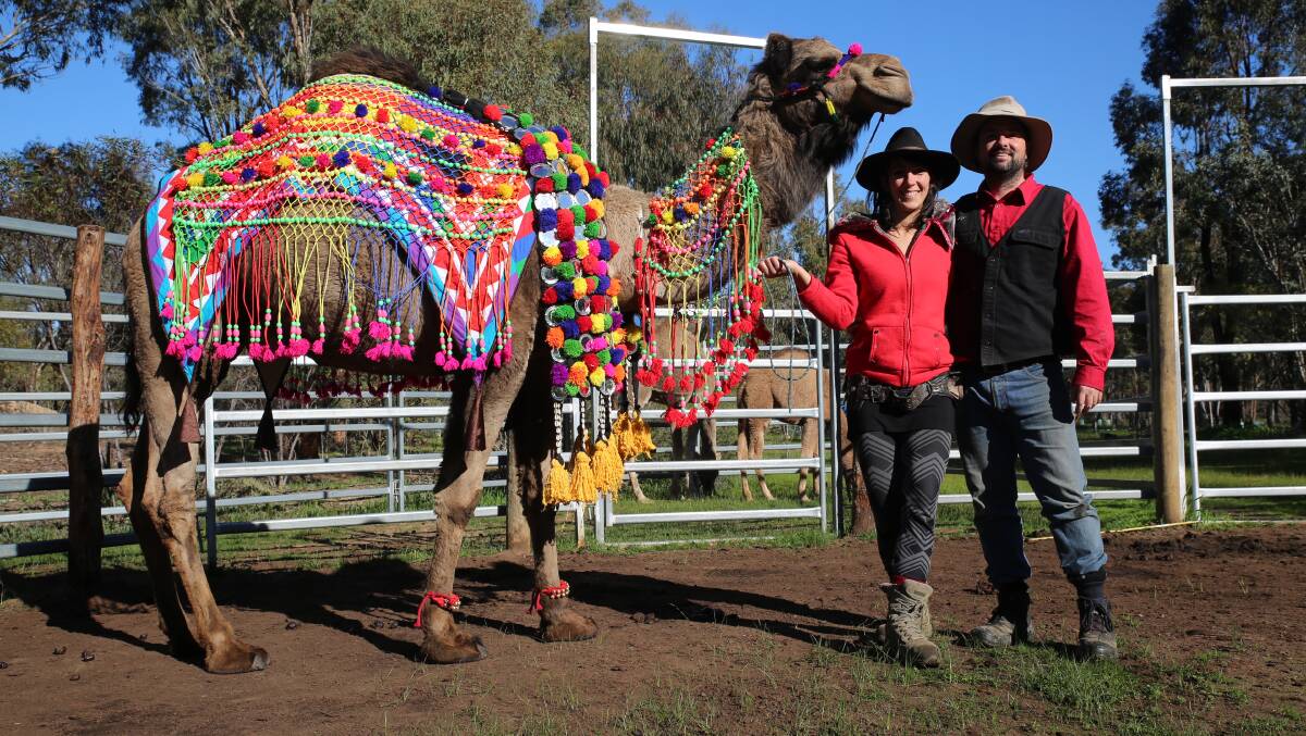 Marie Asselin and Kamahl Druesne are excited to bring their love of camels to the region. Picture: CONTRIBUTED