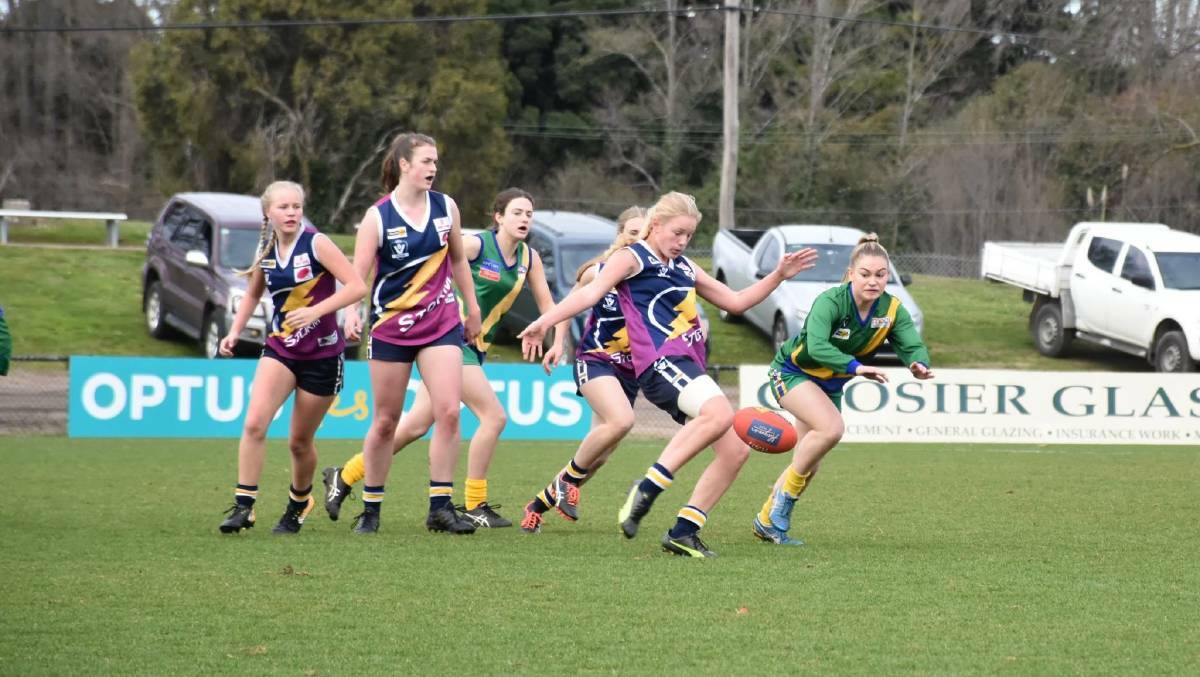 UP IN THE AIR: Ararat Storm will make a decision on Wednesday if they will enter a team for the 2019 season. Picture: SHARON BASSET