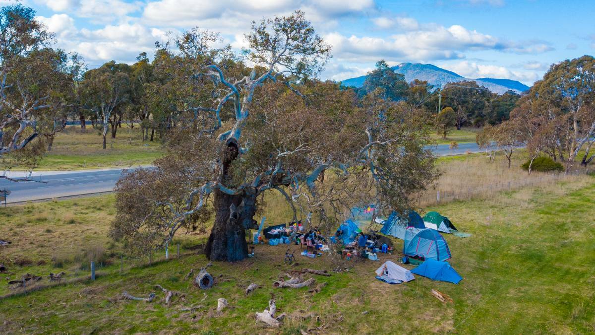 PROTEST CONTINUES: The camp beside the Western Highway near the Warrayatkin Road intersection outside Ararat in July. Picture: CONTRIBUTED