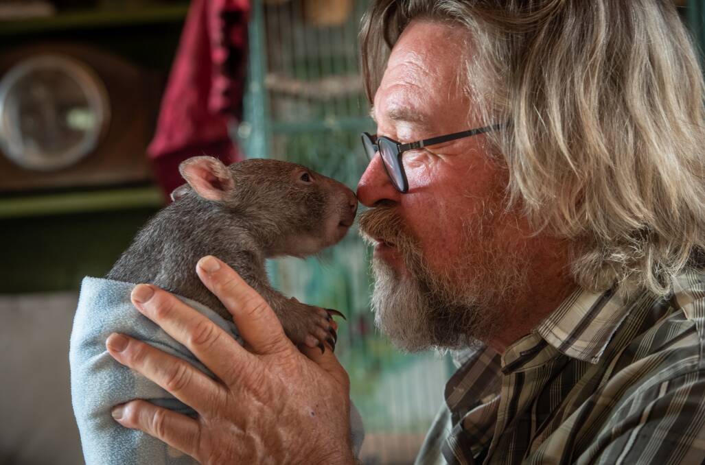Bill Waterhouse, who runs the Majors Creek Wombat Refuge, with rescued baby wombat Essie. Picture: Karleen Minney