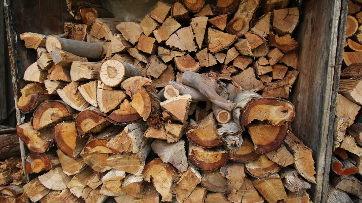 Plan now for Winter firewood needs: Deputy Chief Fire Officer