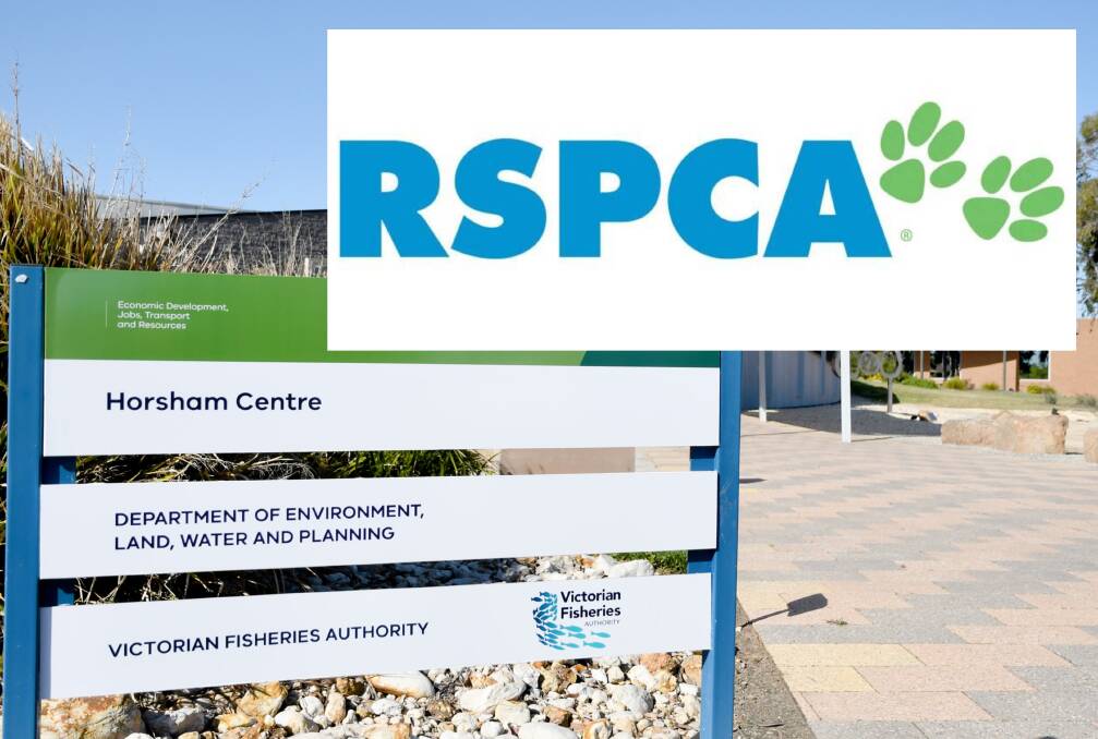 Horsham to receive first RSPCA inspector