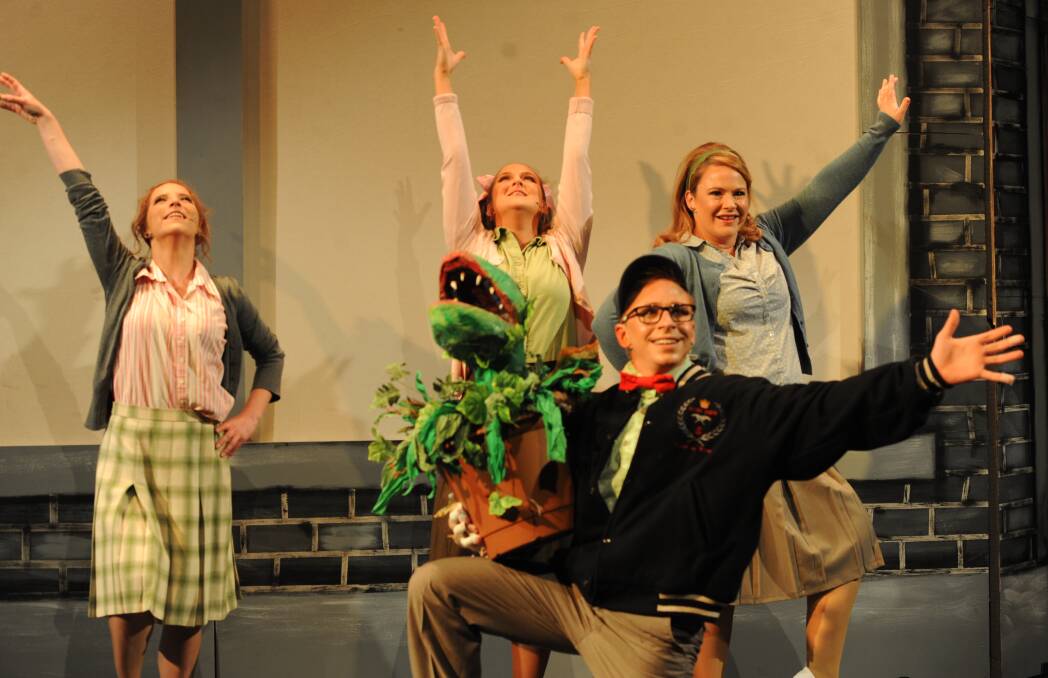 Horsham Arts Council's latest production, Little Shop of Horrors, opens on Saturday night.
