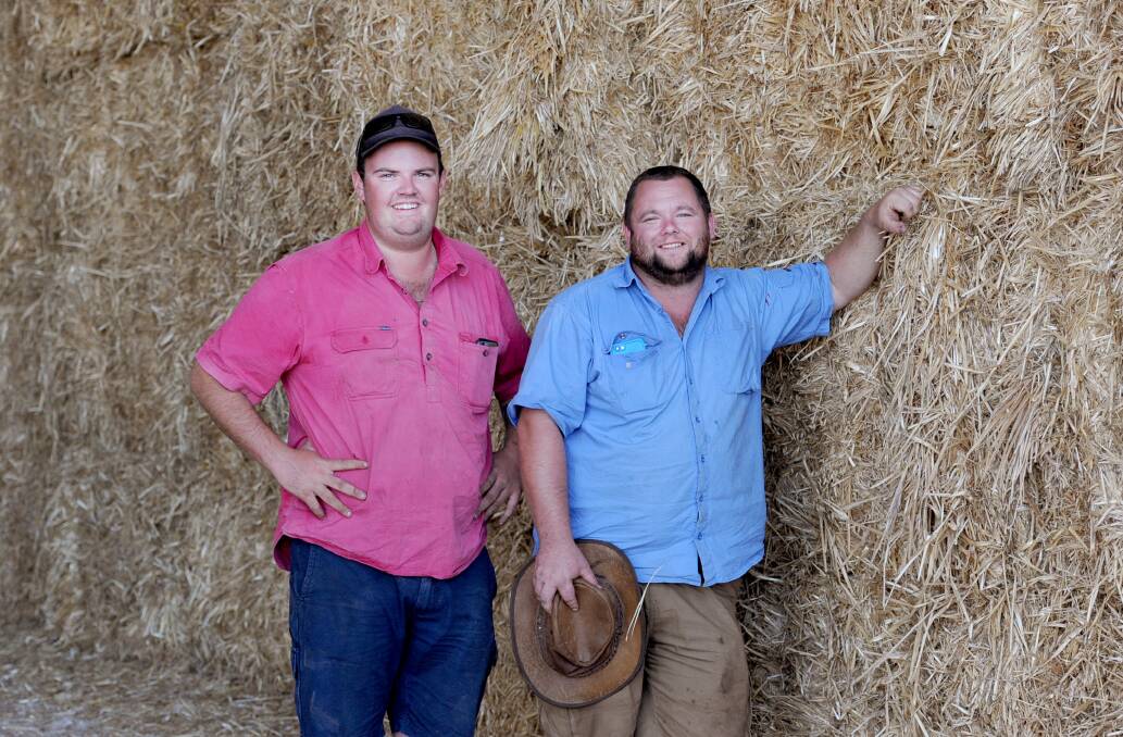 NEED FOR FEED: Wimmera farmers Sam McGennisken and Rob Armstong are calling on people to donate hay. Picture: SAMANTHA CAMARRI