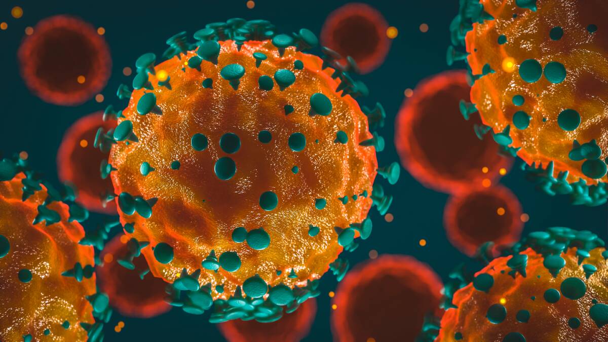 Coronavirus update | Two new cases, zero deaths