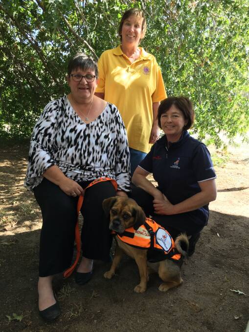 COMPANIONS: Jenn Tumney, left, with Lions Club member Jo Richie and Australian Lions Hearing Dog's Jo Gale, with Alex the hearing dog.