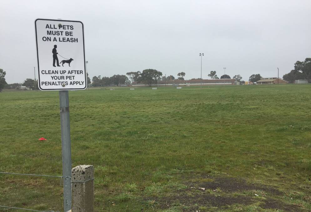 CHANGE: The reserve on Gordon Street is now an off-leash area after Ararat Council passed a motion on Tuesday night.