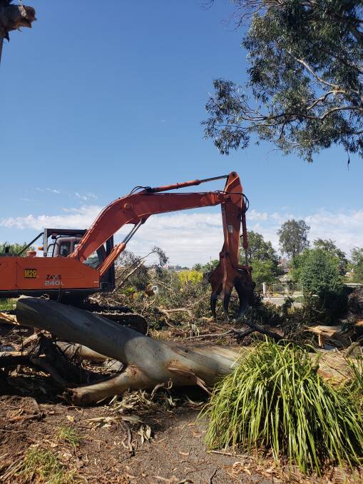 Heavy duty equipment is brought in to fell the four trees on the island at Alexndra lAKE island. Picture: Ararat Rural City Council.