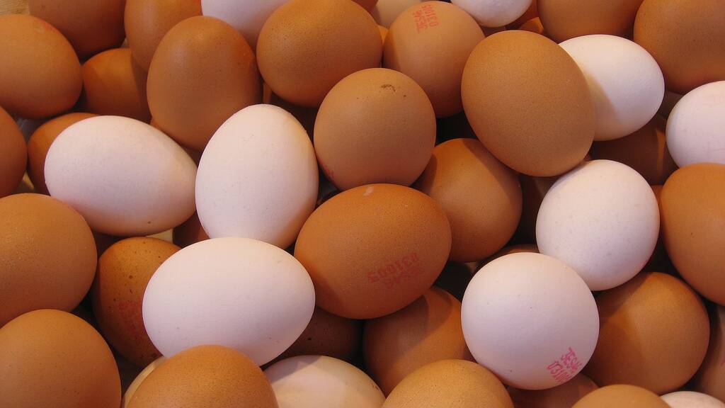 Eggs recalled following health alert