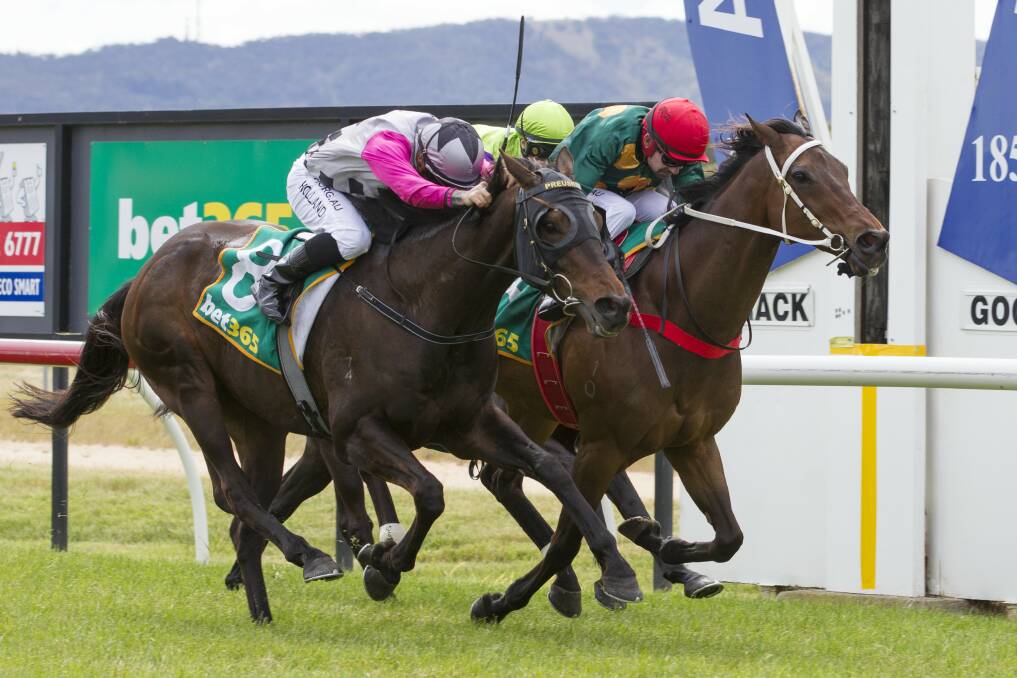 NICK OF TIME: Ararat Gold Cup winner Stealthy Lucas, ridden by Dean Holland, comes up on the finishing post with an incredibly tight lead. Picture: PETER PICKERING. 