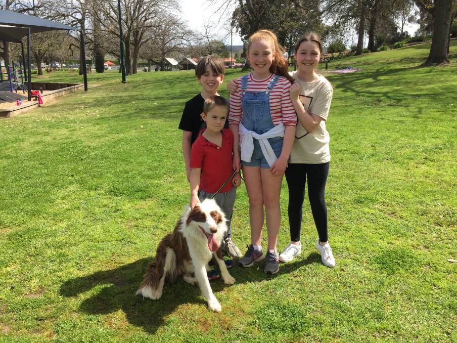 George the chocolate border collie helps Joshua, Jude, Penny and Abbey enjoy the school holiday sunshine at Alexandra Gardens.