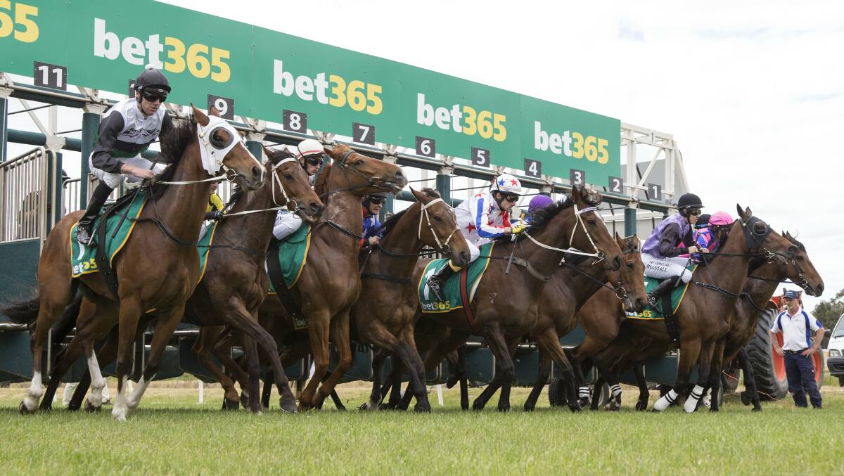 Horses take off at the start of the Ararat RSL Sir Brudenell White 3800 metre race. Picture: PETER PICKERING.