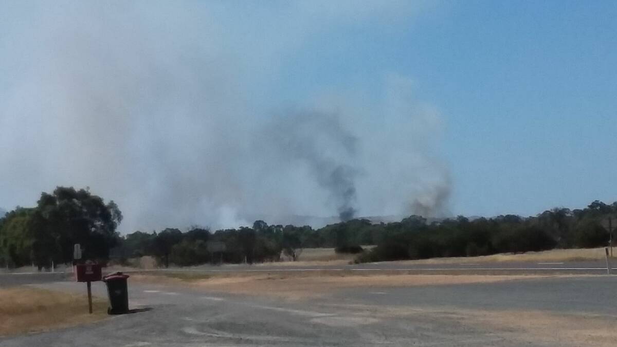 The grass fire in Maroona from the roadside. Picture: SUSAN DAY.