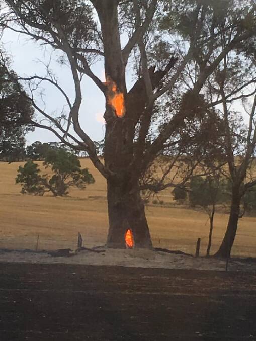 Fire at Moyston. Picture: M Gray/Stawell Fire Brigade