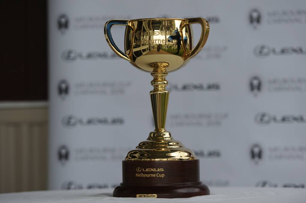 HISTORY ON DISPLAY: The Melbourne Cup on show at last year's Murtoa Cup. Picture: MATT CURRILL