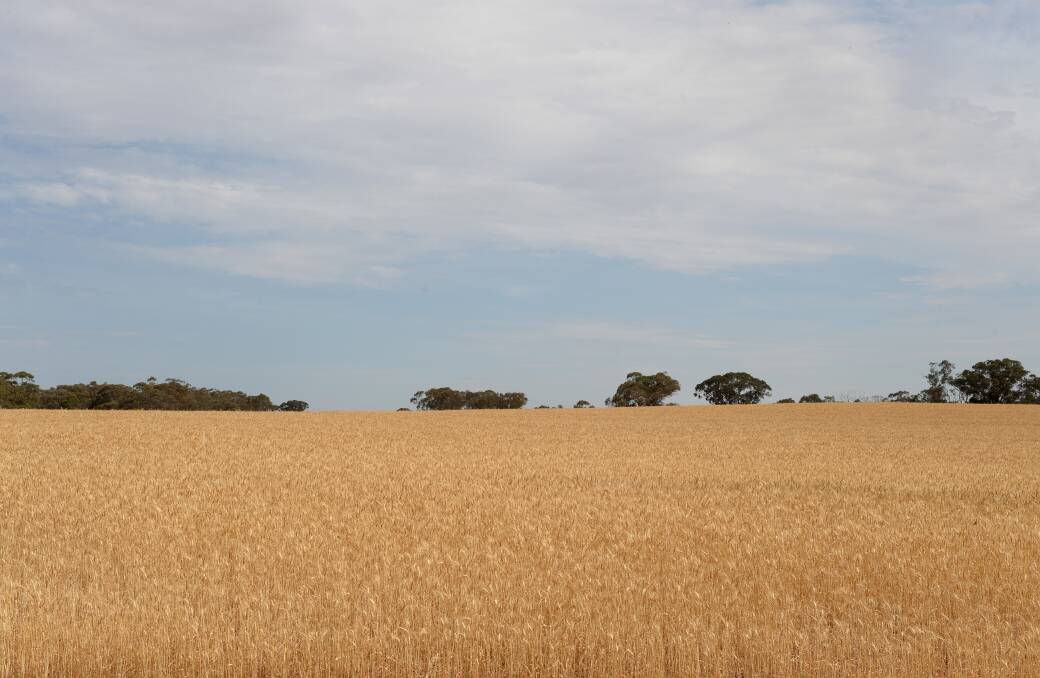 TARGET SET: An Australian agriculture target of $100 billion is ambitious, but achievable, a Parliament committee has found. Picture: JIM ALDERSEY 