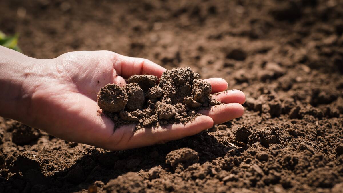 World Soil Day aims to keep soil alive
